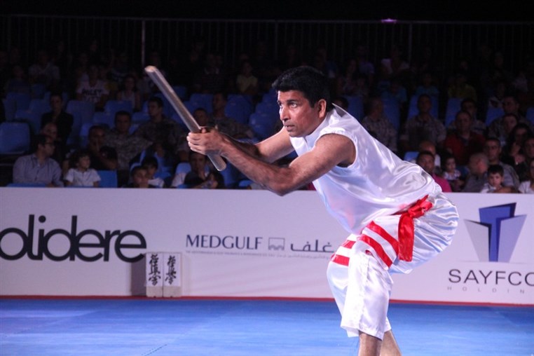 Martial Arts Festival